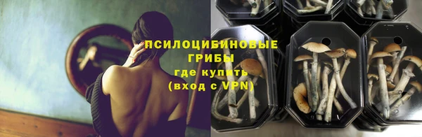 мдма Киреевск