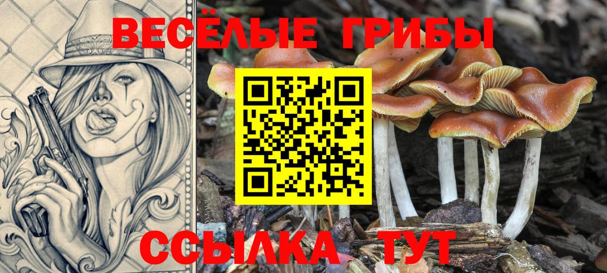 Галлюциногенные грибы прущие грибы  Вход с VPN  Псилоцибиновые грибы Psilocybine cubensis  Мичуринск 