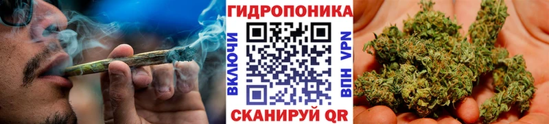 Шишки марихуана сатива Мичуринск