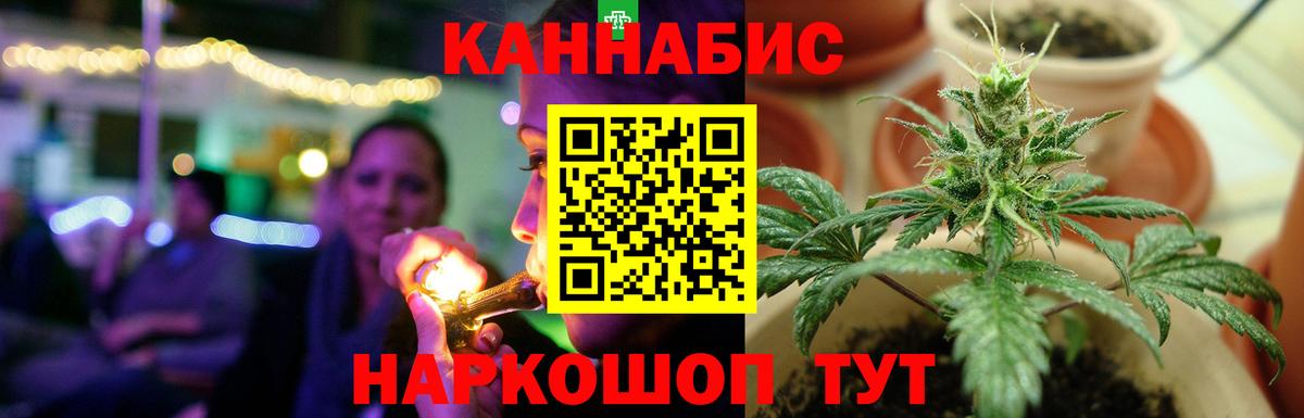 Бошки марихуана гибрид  Бошки марихуана AK-47  Вход с VPN  МАРИХУАНА марихуана  Шишки марихуана AK-47  Мичуринск 